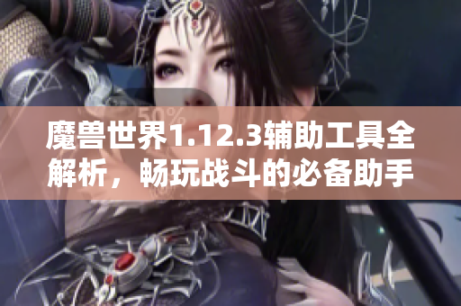 魔兽世界1.12.3辅助工具全解析，畅玩战斗的必备助手