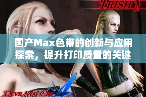 国产Max色带的创新与应用探索，提升打印质量的关键因素