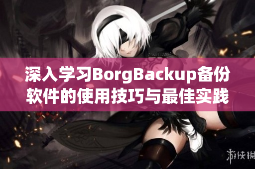 深入学习BorgBackup备份软件的使用技巧与最佳实践指南