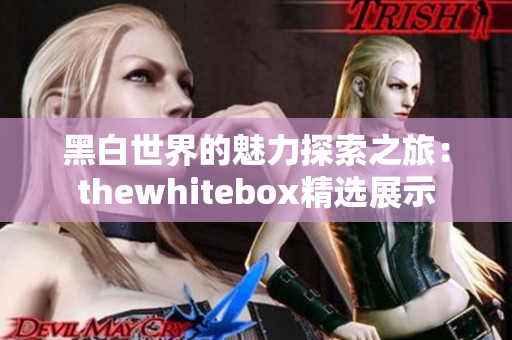 黑白世界的魅力探索之旅：thewhitebox精选展示