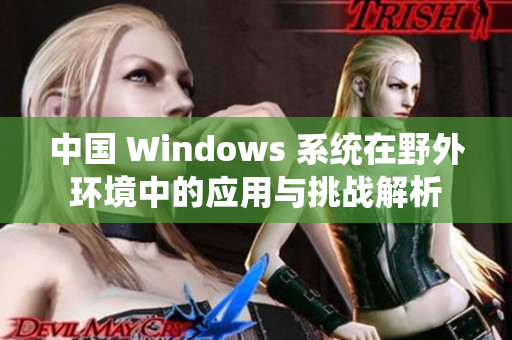 中国 Windows 系统在野外环境中的应用与挑战解析