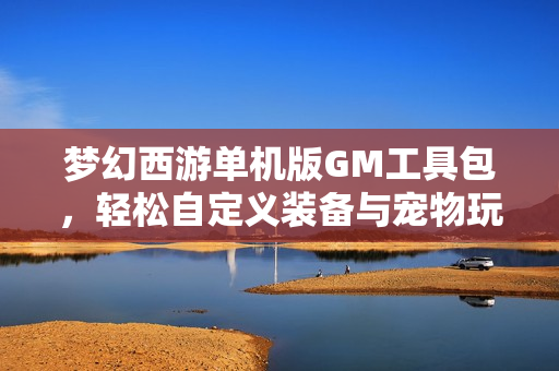 梦幻西游单机版GM工具包，轻松自定义装备与宠物玩法