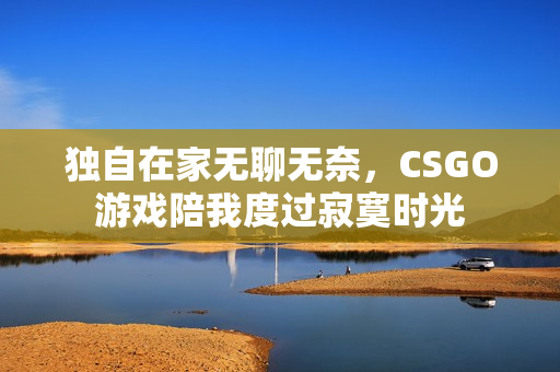 独自在家无聊无奈，CSGO游戏陪我度过寂寞时光