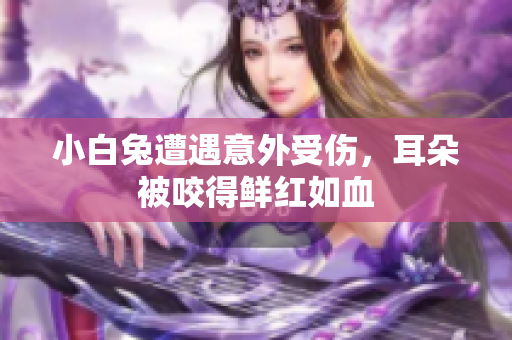 小白兔遭遇意外受伤，耳朵被咬得鲜红如血