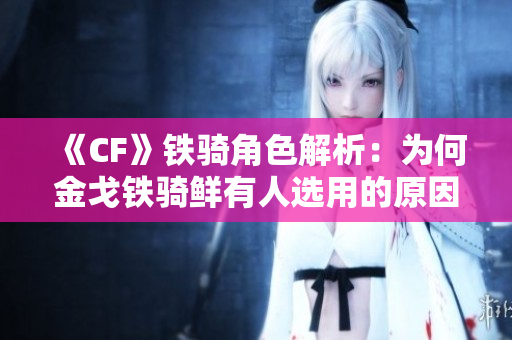 《CF》铁骑角色解析：为何金戈铁骑鲜有人选用的原因探讨