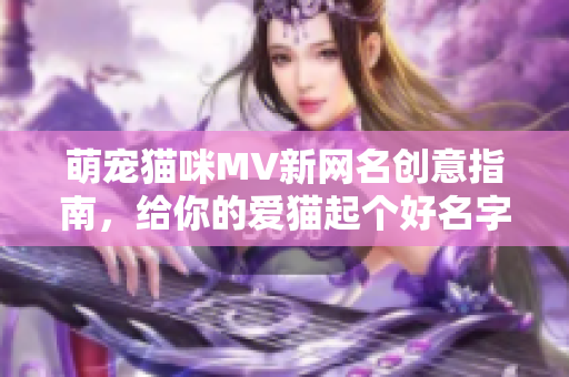 萌宠猫咪MV新网名创意指南，给你的爱猫起个好名字