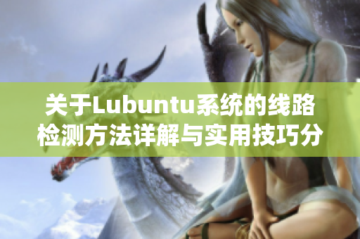 关于Lubuntu系统的线路检测方法详解与实用技巧分享