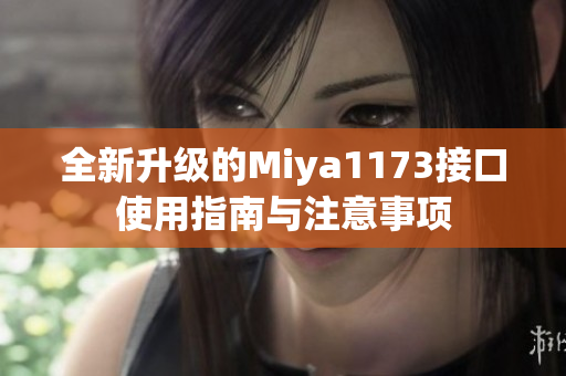 全新升级的Miya1173接口使用指南与注意事项