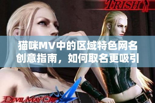 猫咪MV中的区域特色网名创意指南，如何取名更吸引人