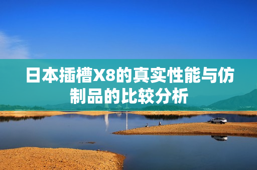 日本插槽X8的真实性能与仿制品的比较分析