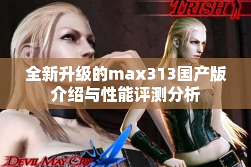 全新升级的max313国产版介绍与性能评测分析