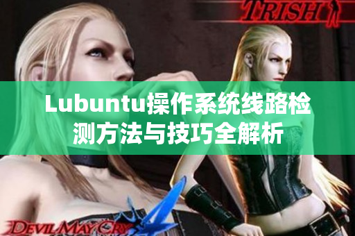 Lubuntu操作系统线路检测方法与技巧全解析