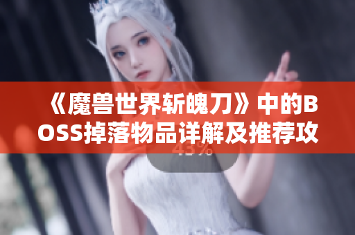 《魔兽世界斩魄刀》中的BOSS掉落物品详解及推荐攻略