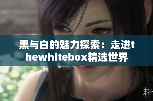 黑与白的魅力探索：走进thewhitebox精选世界