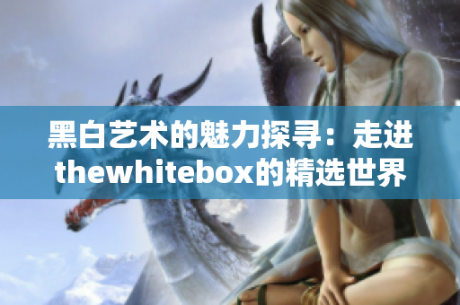 黑白艺术的魅力探寻：走进thewhitebox的精选世界