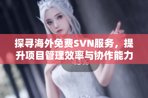 探寻海外免费SVN服务，提升项目管理效率与协作能力