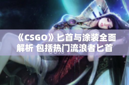 《CSGO》匕首与涂装全面解析 包括热门流浪者匕首详解