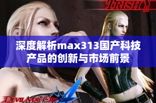 深度解析max313国产科技产品的创新与市场前景