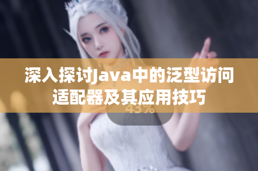 深入探讨Java中的泛型访问适配器及其应用技巧