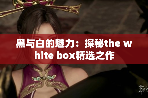 黑与白的魅力：探秘the white box精选之作