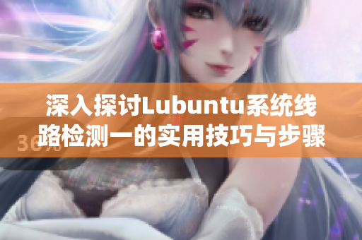 深入探讨Lubuntu系统线路检测一的实用技巧与步骤