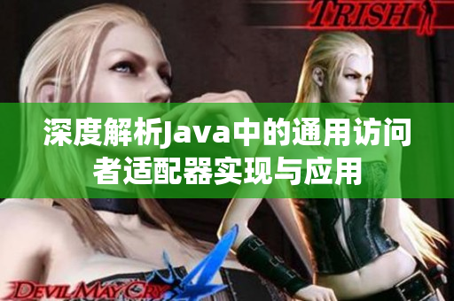 深度解析Java中的通用访问者适配器实现与应用