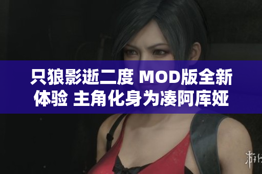 只狼影逝二度 MOD版全新体验 主角化身为凑阿库娅