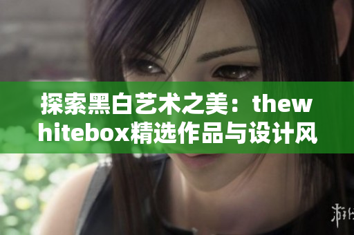 探索黑白艺术之美：thewhitebox精选作品与设计风格