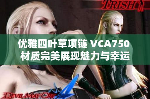 优雅四叶草项链 VCA750 材质完美展现魅力与幸运