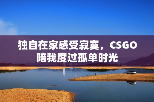 独自在家感受寂寞，CSGO陪我度过孤单时光