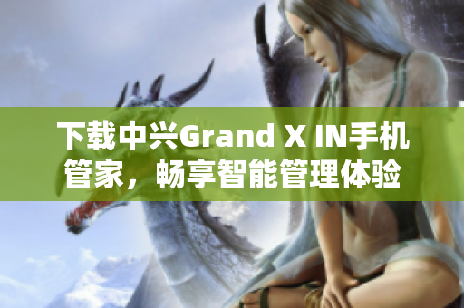 下载中兴Grand X IN手机管家，畅享智能管理体验