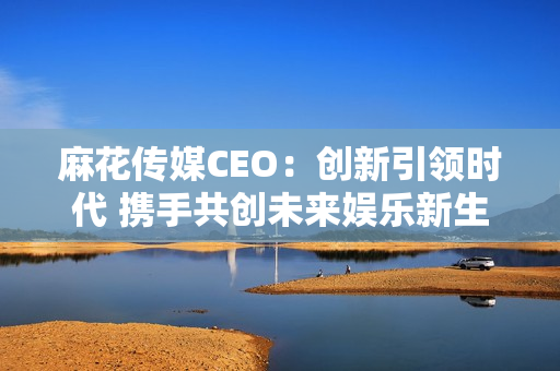 麻花传媒CEO：创新引领时代 携手共创未来娱乐新生态