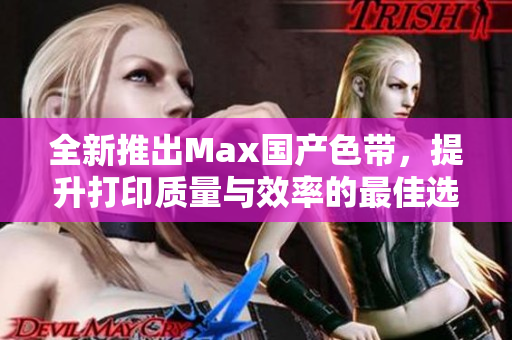 全新推出Max国产色带，提升打印质量与效率的最佳选择