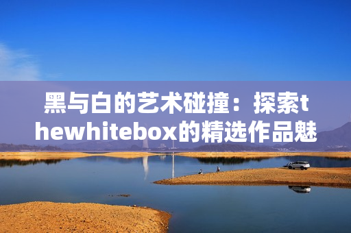 黑与白的艺术碰撞：探索thewhitebox的精选作品魅力