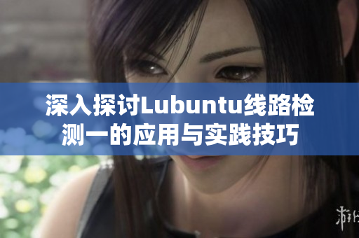 深入探讨Lubuntu线路检测一的应用与实践技巧