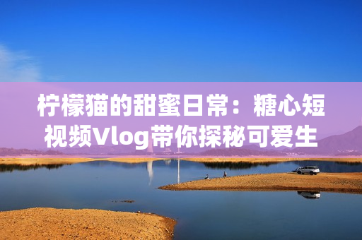 柠檬猫的甜蜜日常：糖心短视频Vlog带你探秘可爱生活