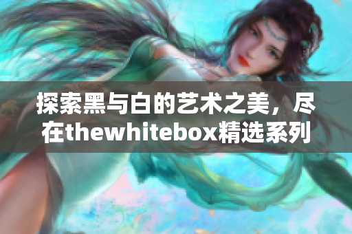 探索黑与白的艺术之美，尽在thewhitebox精选系列