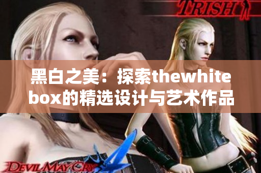 黑白之美：探索thewhitebox的精选设计与艺术作品