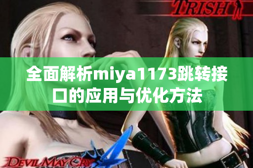 全面解析miya1173跳转接口的应用与优化方法