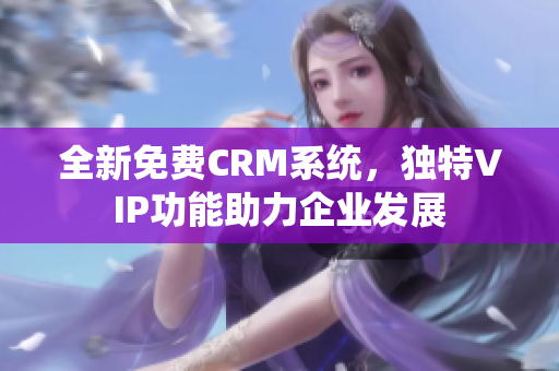 全新免费CRM系统，独特VIP功能助力企业发展