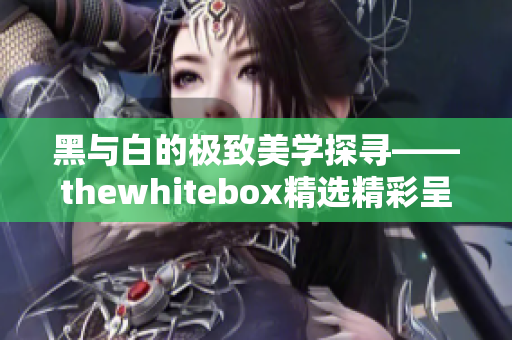 黑与白的极致美学探寻——thewhitebox精选精彩呈现