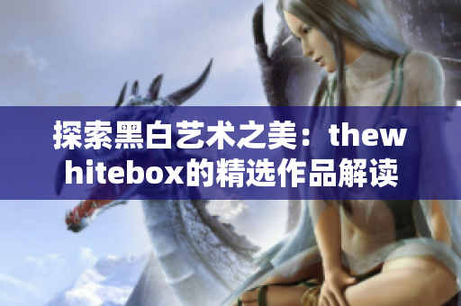 探索黑白艺术之美：thewhitebox的精选作品解读