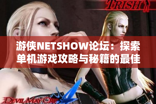 游侠NETSHOW论坛：探索单机游戏攻略与秘籍的最佳平台