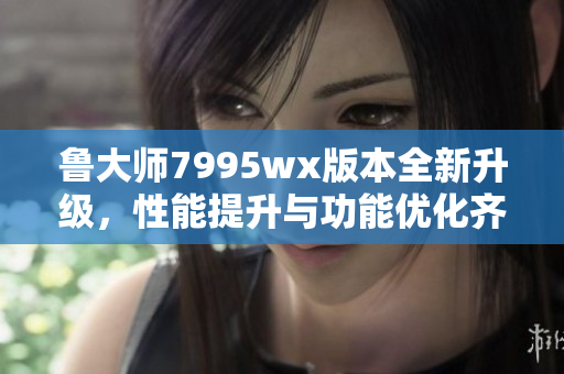 鲁大师7995wx版本全新升级，性能提升与功能优化齐上阵