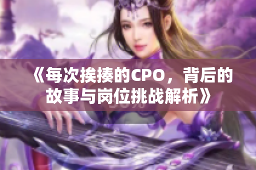 《每次挨揍的CPO，背后的故事与岗位挑战解析》