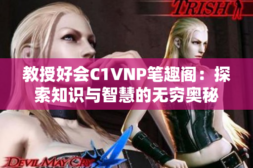 教授好会C1VNP笔趣阁：探索知识与智慧的无穷奥秘