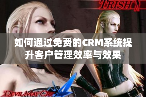 如何通过免费的CRM系统提升客户管理效率与效果