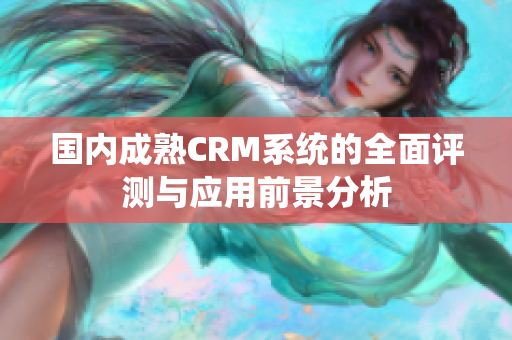 国内成熟CRM系统的全面评测与应用前景分析