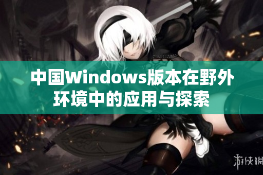 中国Windows版本在野外环境中的应用与探索