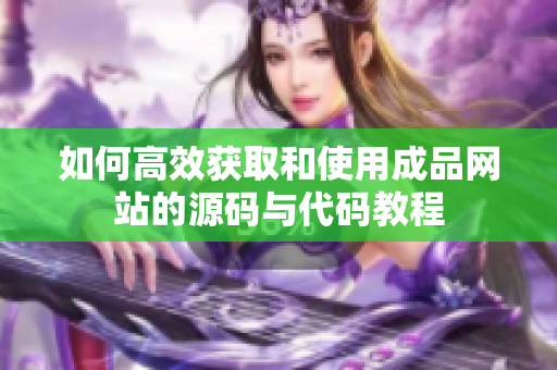 如何高效获取和使用成品网站的源码与代码教程